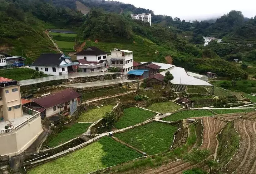 ホテル Flora Plus