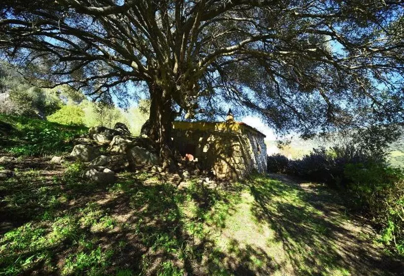 Hotelli Lu Rotu