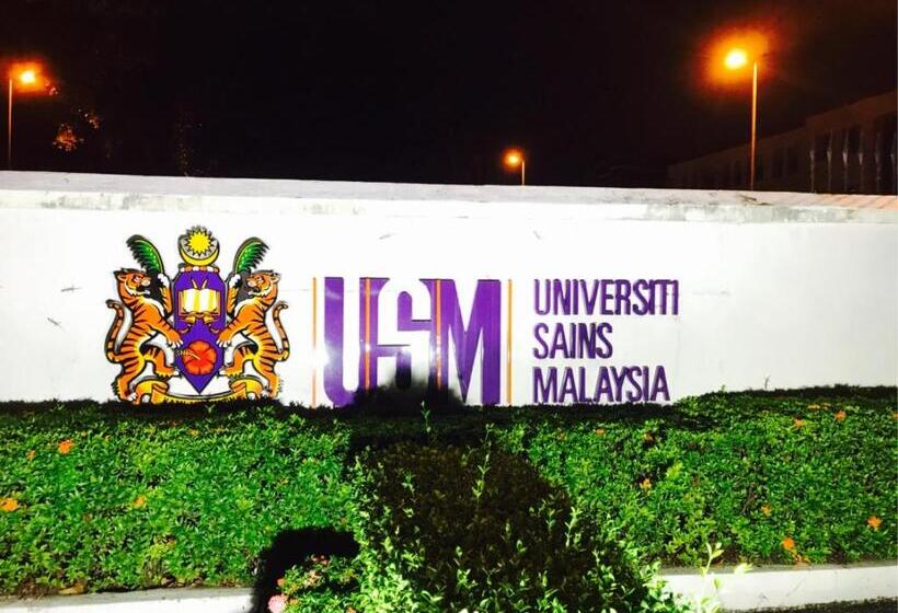 Hotel Usm Designer Dwell