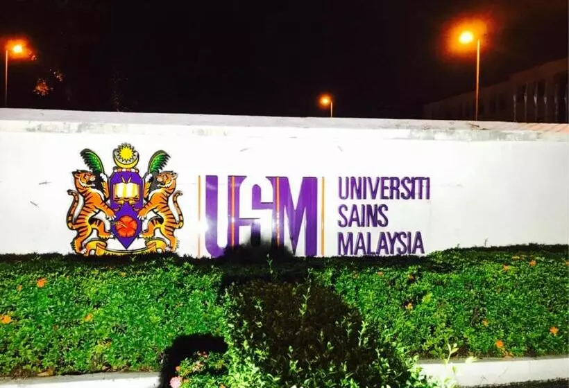 ホテル Usm Designer Dwell