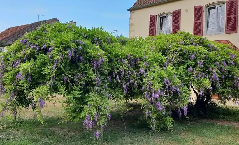 ペンション Jungbrunnen Orges