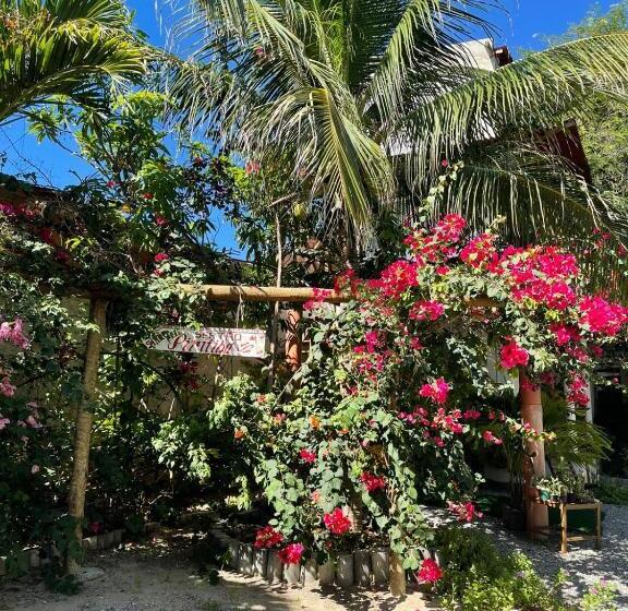 Общежитие Pousada Maré