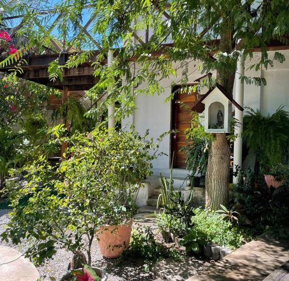 Общежитие Pousada Maré