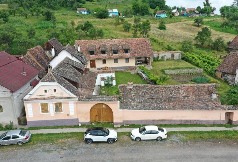 住宿加早餐  Convivium Transilvania