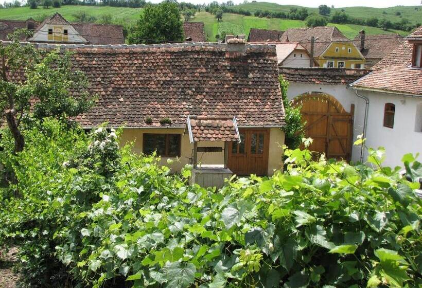 住宿加早餐  Convivium Transilvania