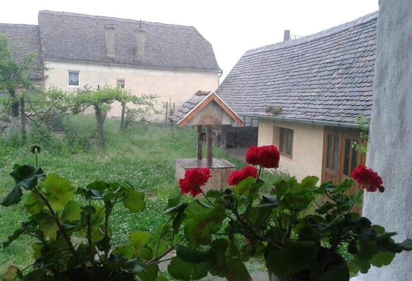 住宿加早餐  Convivium Transilvania