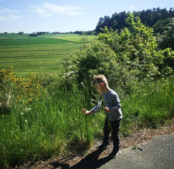 Отель Haus Marvin