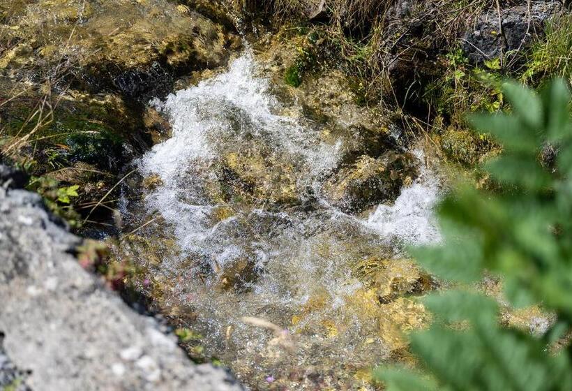 Пансион Gästehaus Alte Bergmühle