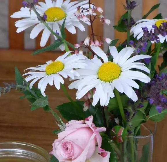 ペンション Gästehaus Alte Bergmühle