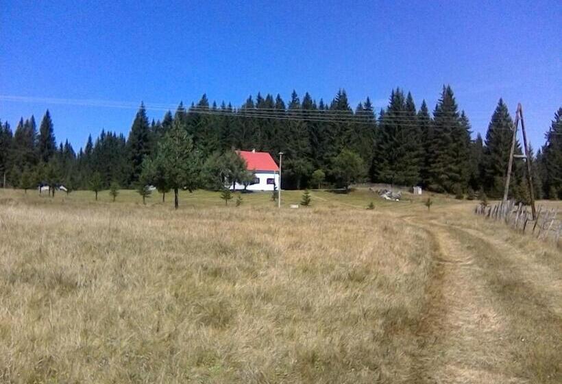 پانسیون Homestay Djerkovic