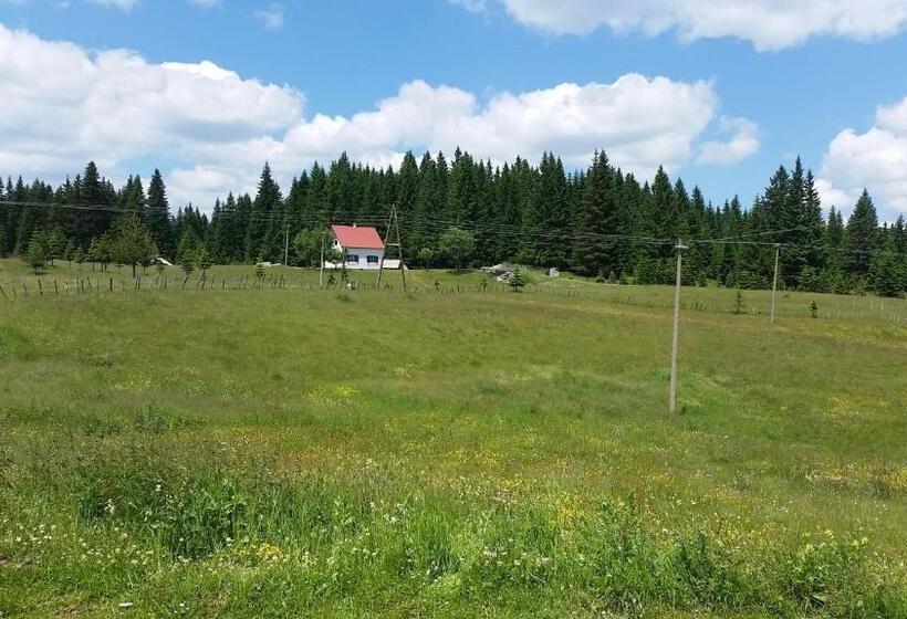 پانسیون Homestay Djerkovic