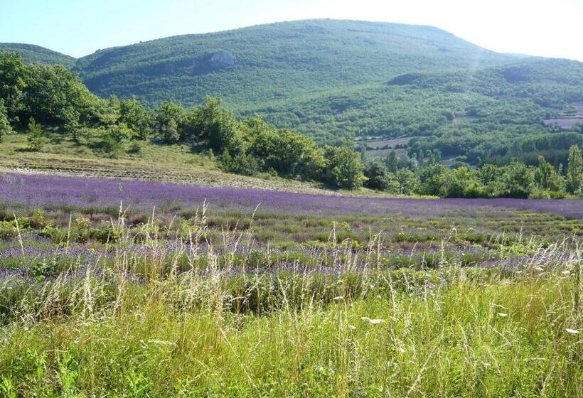 بنسيون Maison D Hôtes La Honas