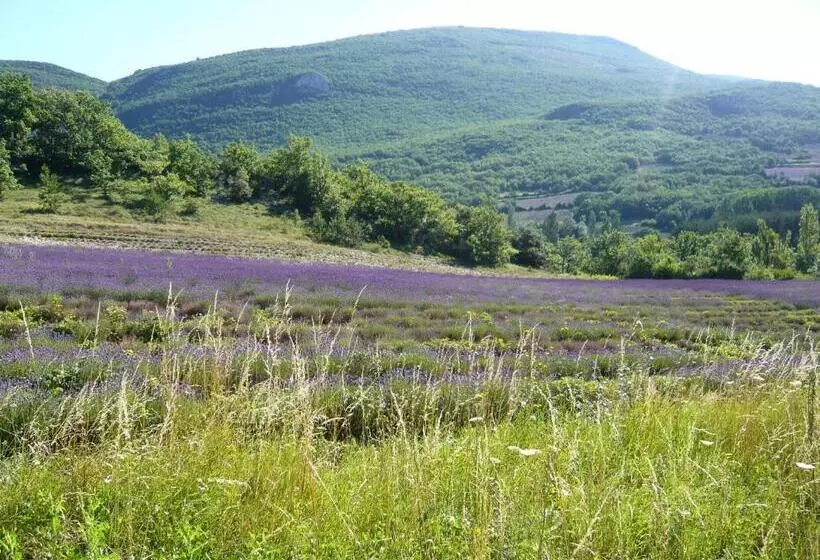 ペンション Maison D Hôtes La Honas