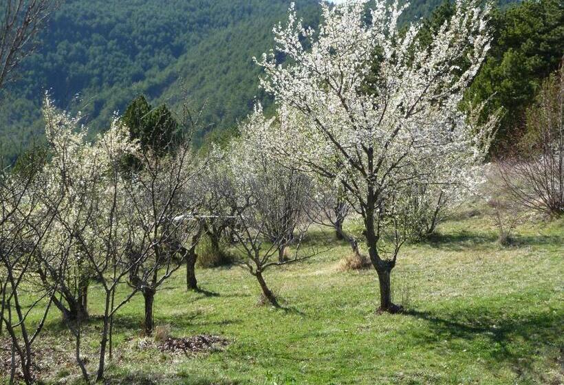 بنسيون Maison D Hôtes La Honas