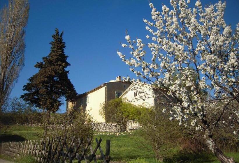 بنسيون Maison D Hôtes La Honas