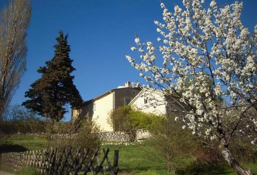 ペンション Maison D Hôtes La Honas