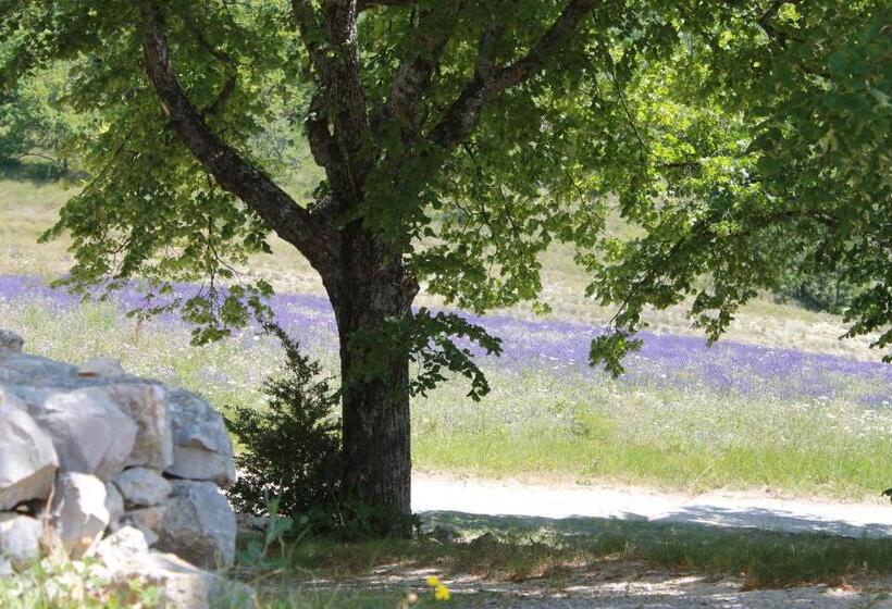 بنسيون Maison D Hôtes La Honas