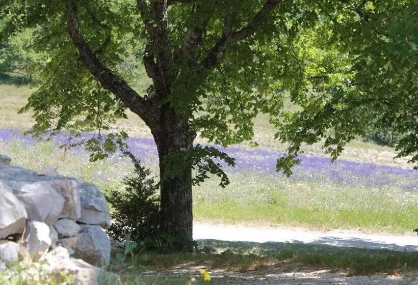 ペンション Maison D Hôtes La Honas