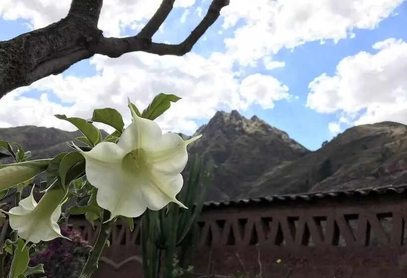 Retkeilymaja Pisac Inca Guest House