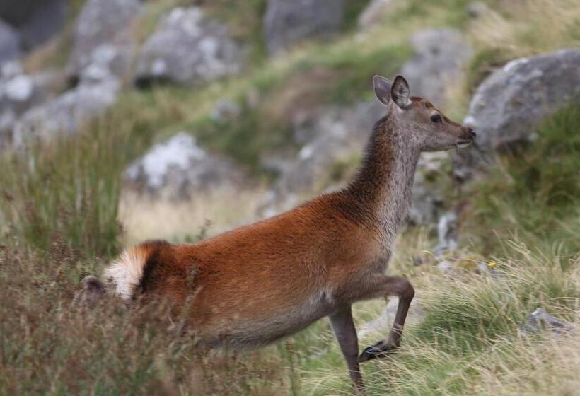 ベッドアンドブレックファースト Jacob S Well