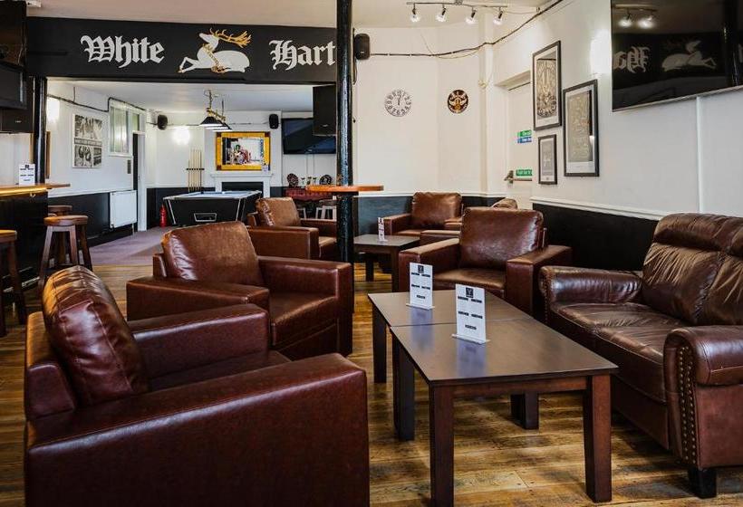 فندق فئة نجمة واحدة The White Hart