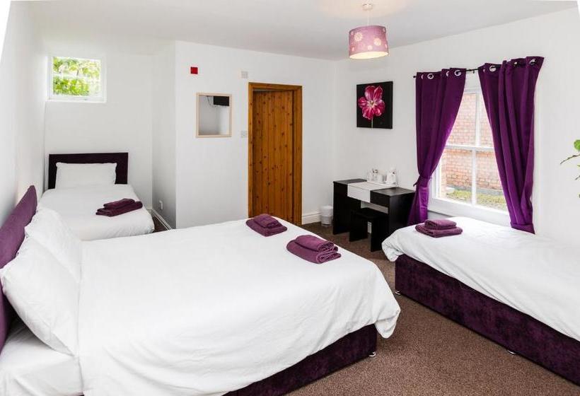 فندق فئة نجمة واحدة The White Hart