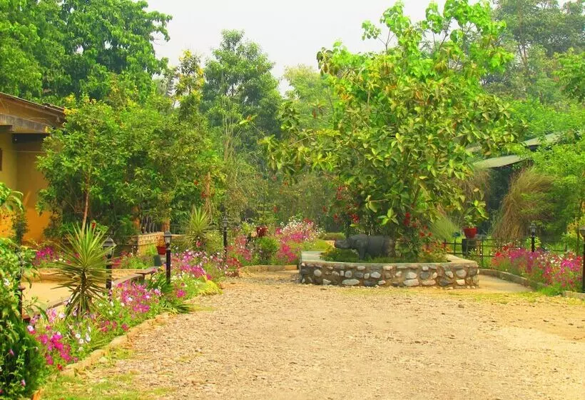 هتل Chitwan Gaida Lodge
