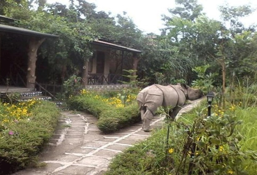 هتل Chitwan Gaida Lodge