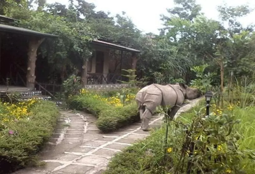 هتل Chitwan Gaida Lodge