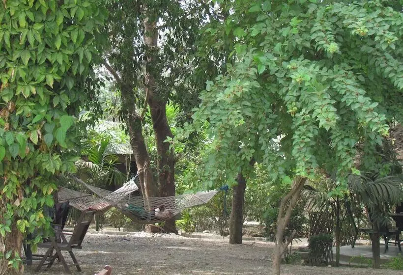 هتل Chitwan Gaida Lodge