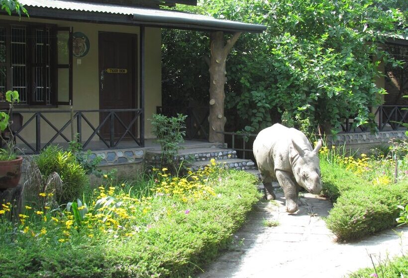 هتل Chitwan Gaida Lodge