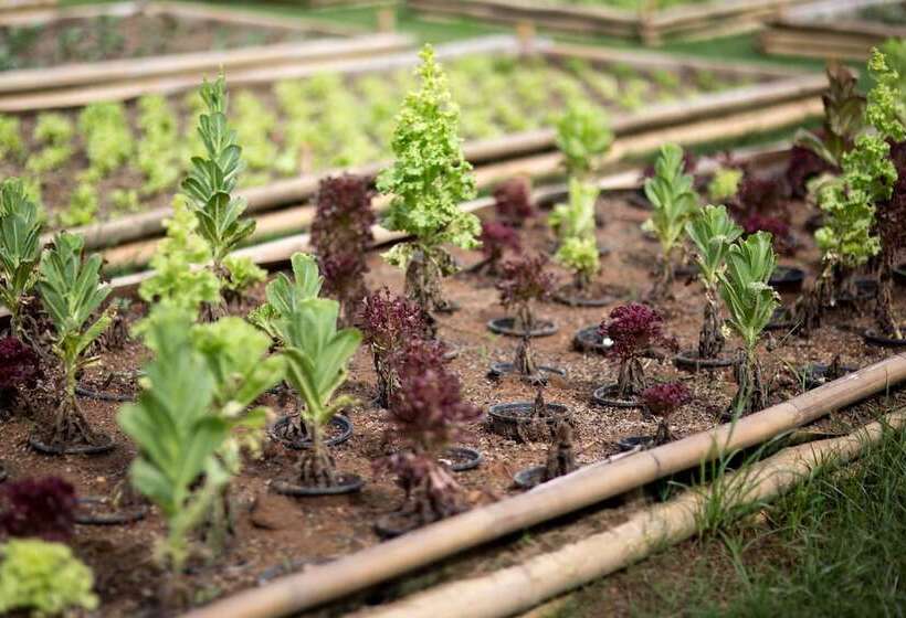 בית מלון כפרי North Hill City Resort Sha Extra Plus