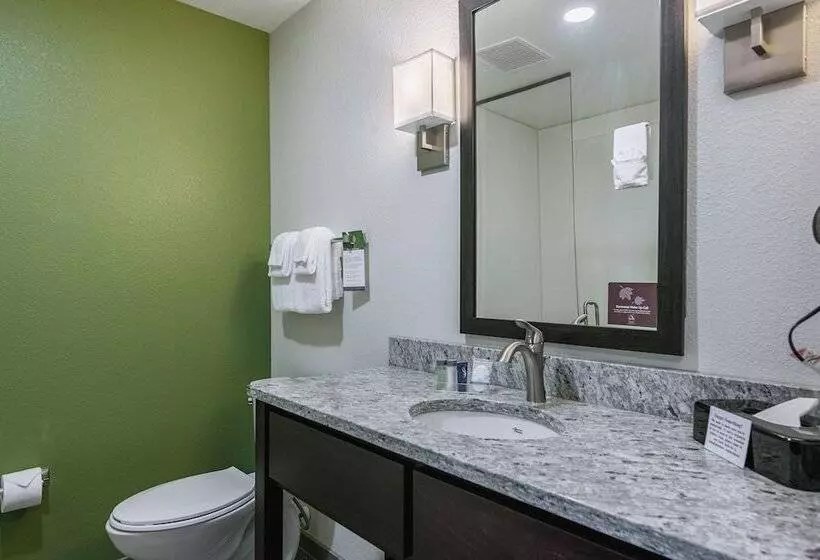 ホテル Sleep Inn & Suites