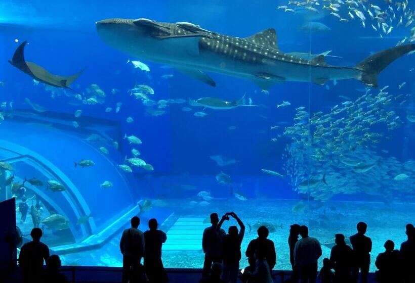 Hotel Toyoko Inn Okinawa Naha Kokusai-dori Miebashi-eki