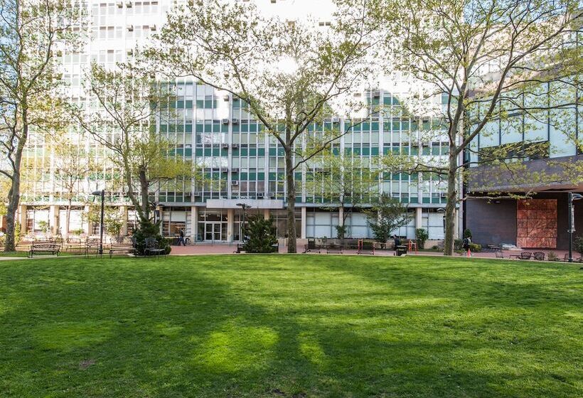 New York City Summer Dorms   Hostel