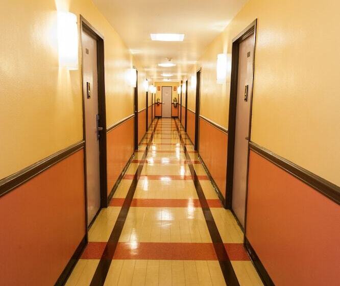 New York City Summer Dorms   Hostel