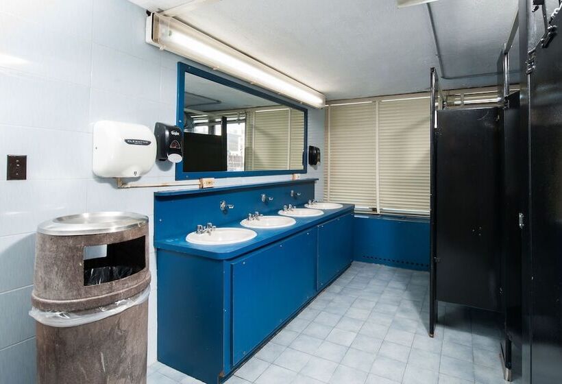 New York City Summer Dorms   Hostel