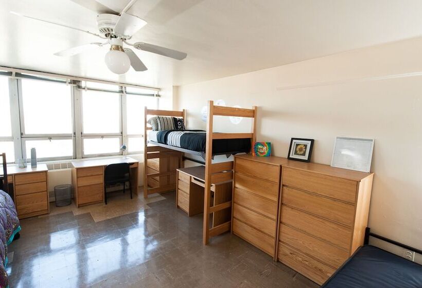 New York City Summer Dorms   Hostel