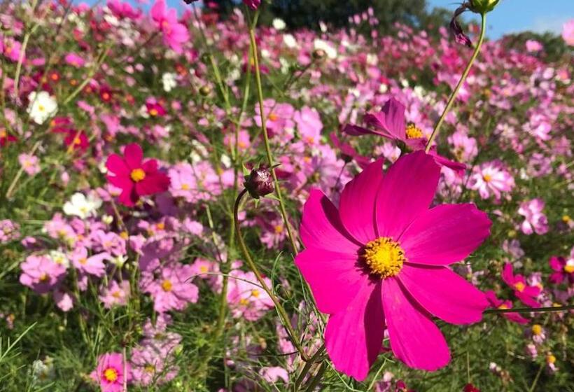 ريوكان Kyukamura Sanukigoshikidai