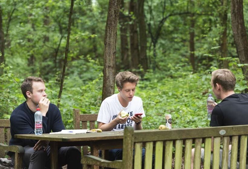 تختخواب و صبحانه Lithium Bed Zen & Breakfast