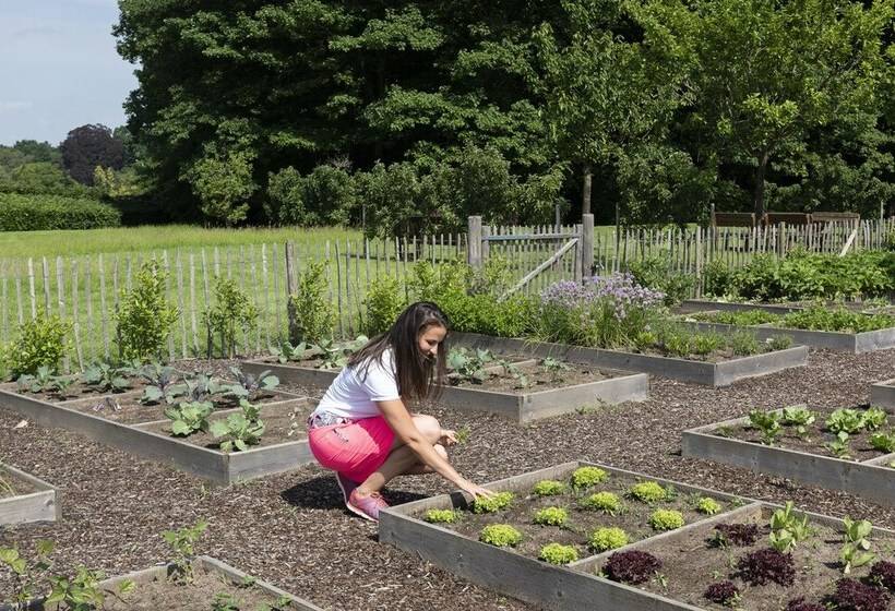 تختخواب و صبحانه Lithium Bed Zen & Breakfast