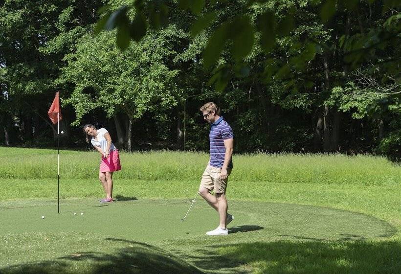 تختخواب و صبحانه Lithium Bed Zen & Breakfast