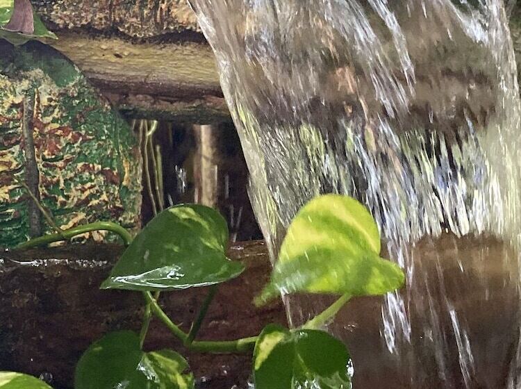 ホテル Khaolak Grand City