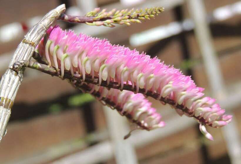 ホテル Khaolak Grand City