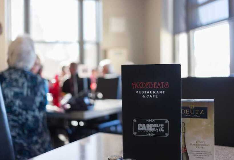 汽车旅馆  Racecourse Hotel And Motor Lodge