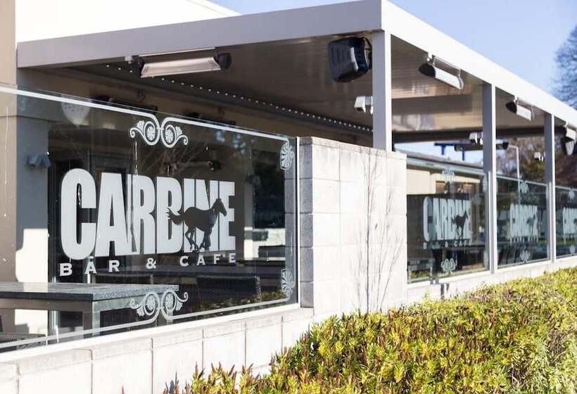 汽车旅馆  Racecourse Hotel And Motor Lodge