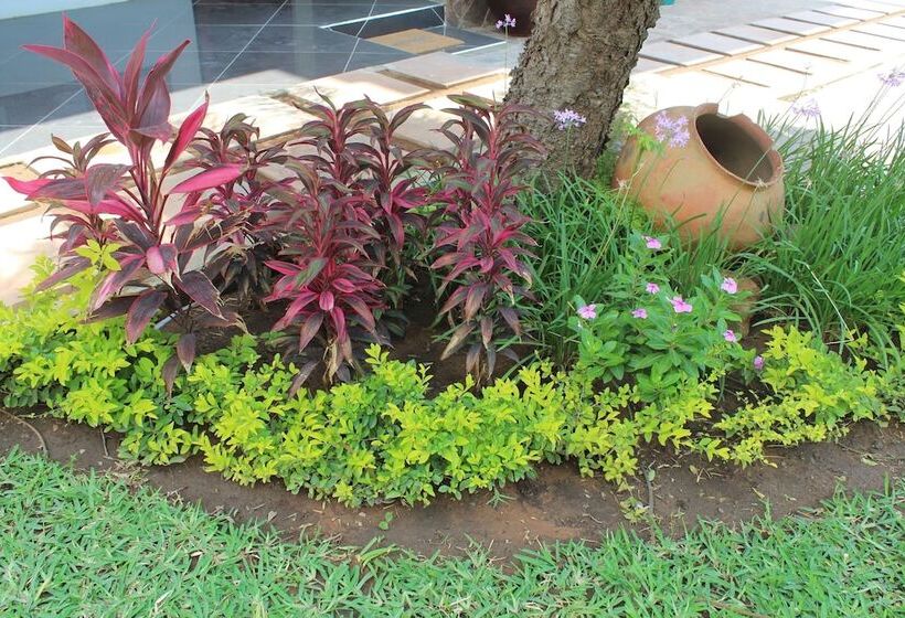 פנסיון Sommerschield Guest House & Restaurant