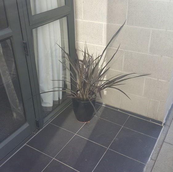 Snug In The City Apartment