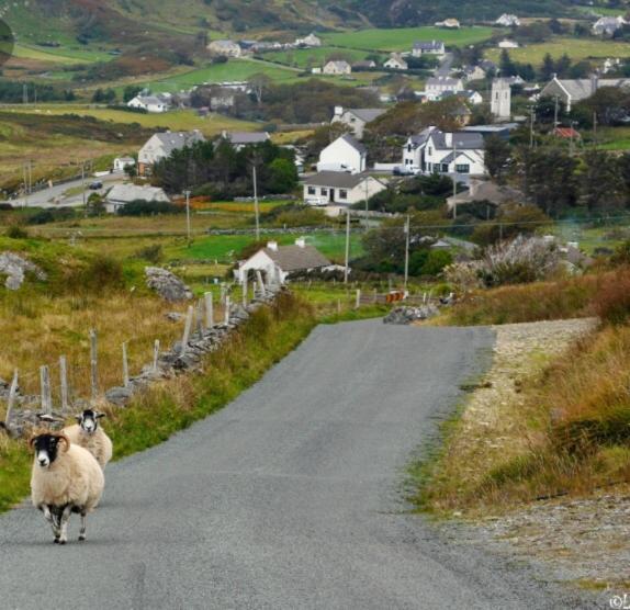 ベッドアンドブレックファースト Shashas Apartment Gleanndobhar