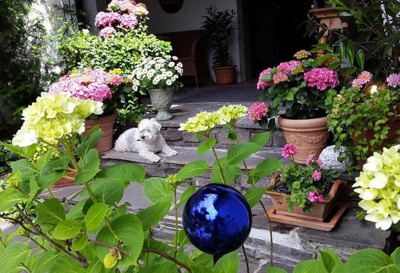 تختخواب و صبحانه Haus Am Moos